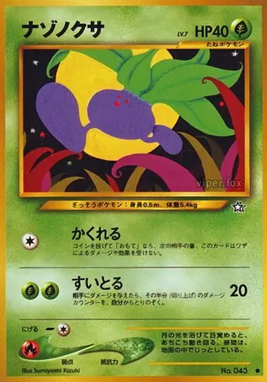 走路草