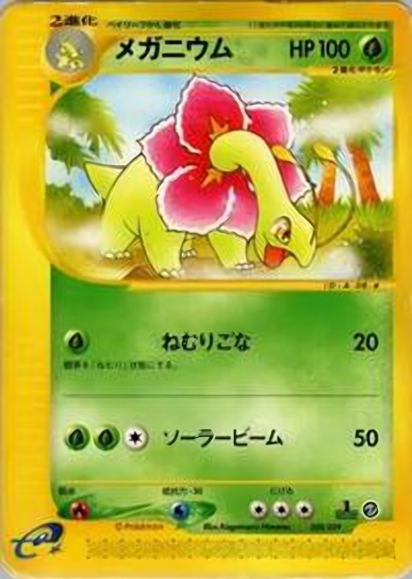 大竺葵