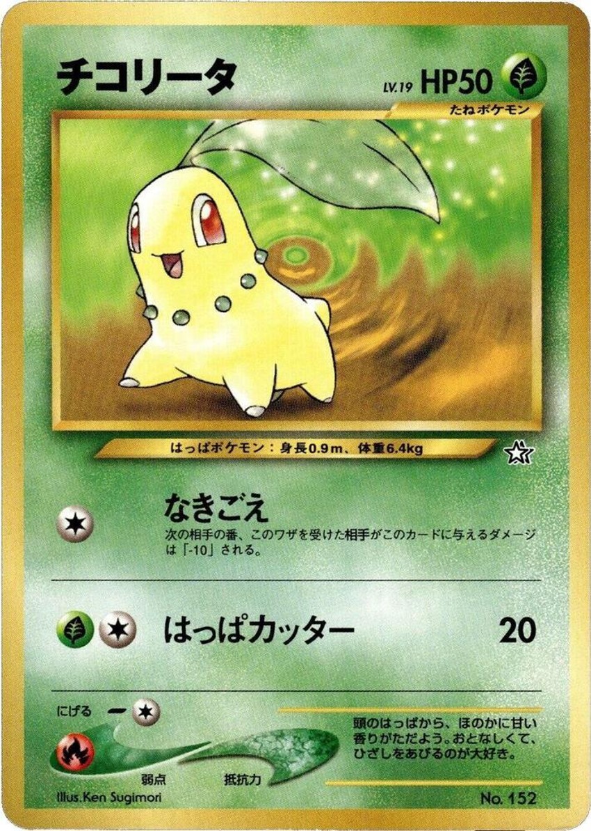 菊草葉