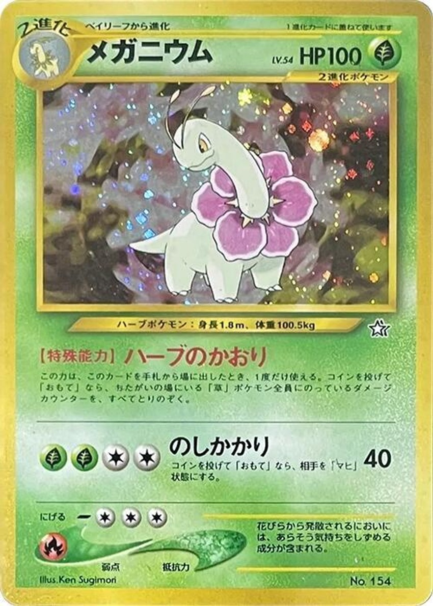 大竺葵