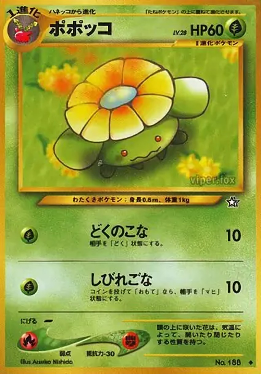 Skiploom