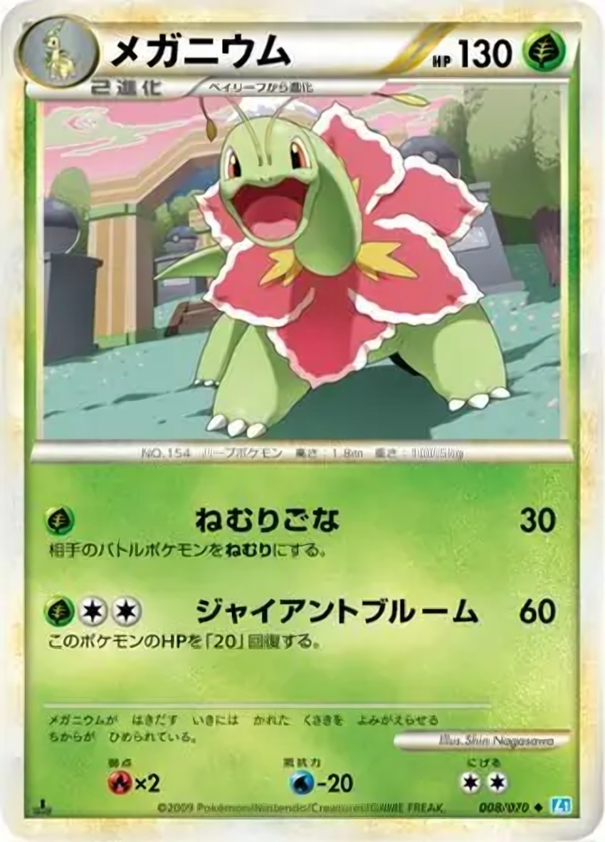 大竺葵