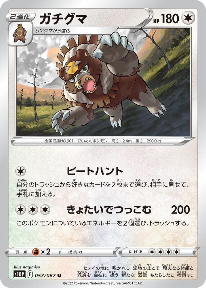 月月熊