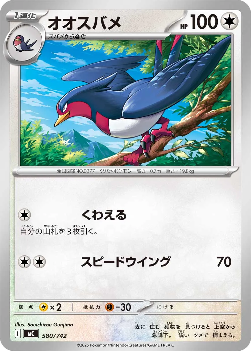 Swellow (Mirror )