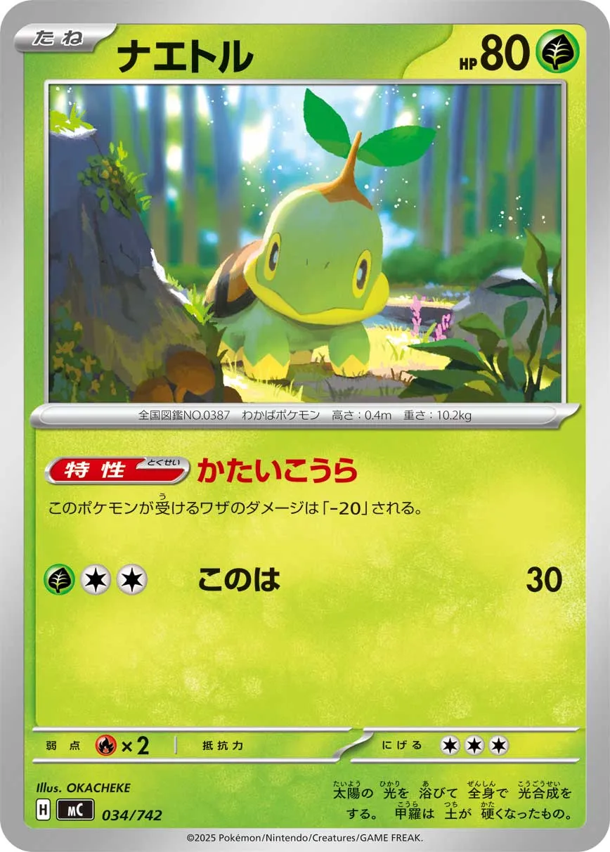 Turtwig