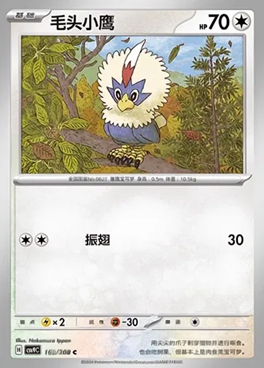毛頭小鷹