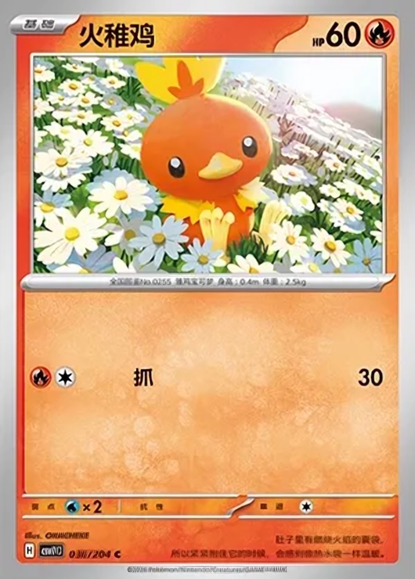Torchic