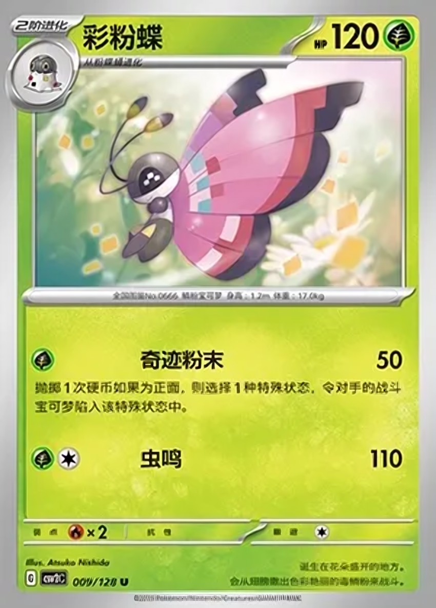 彩粉蝶