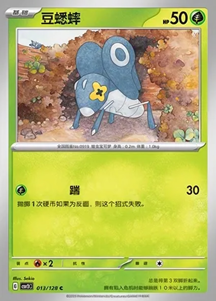 豆蟋蟀