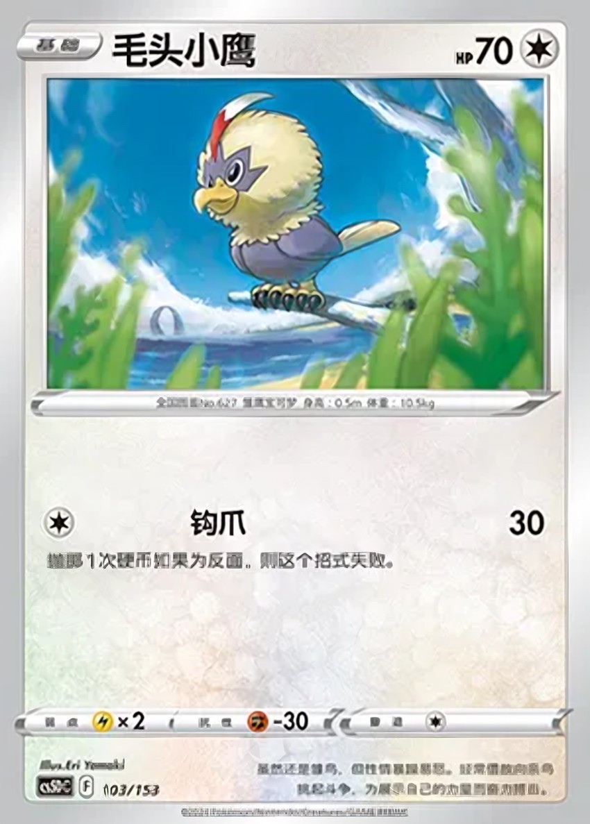 毛頭小鷹