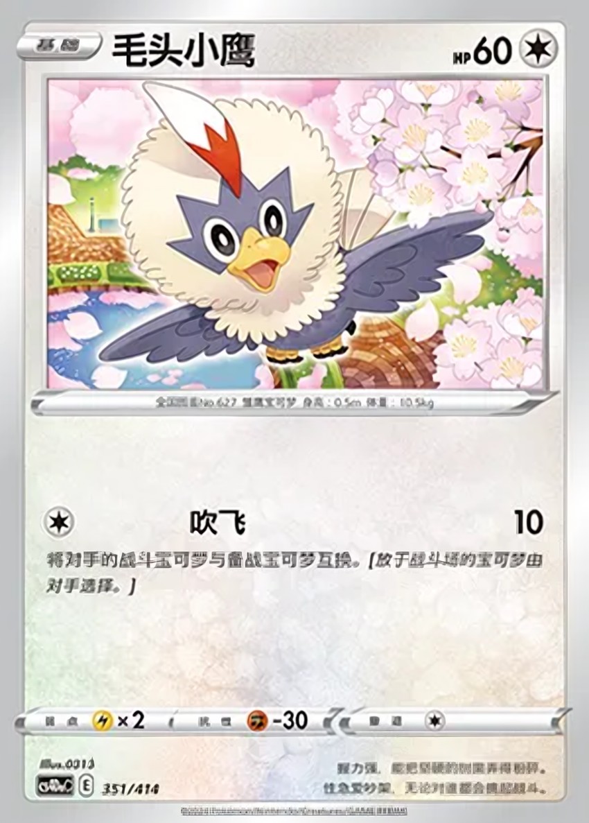 毛頭小鷹