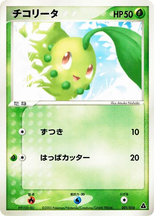 菊草葉