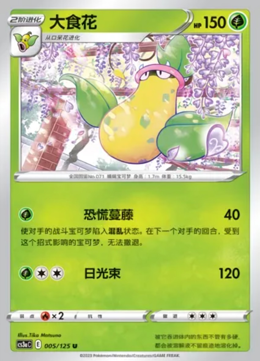大食花