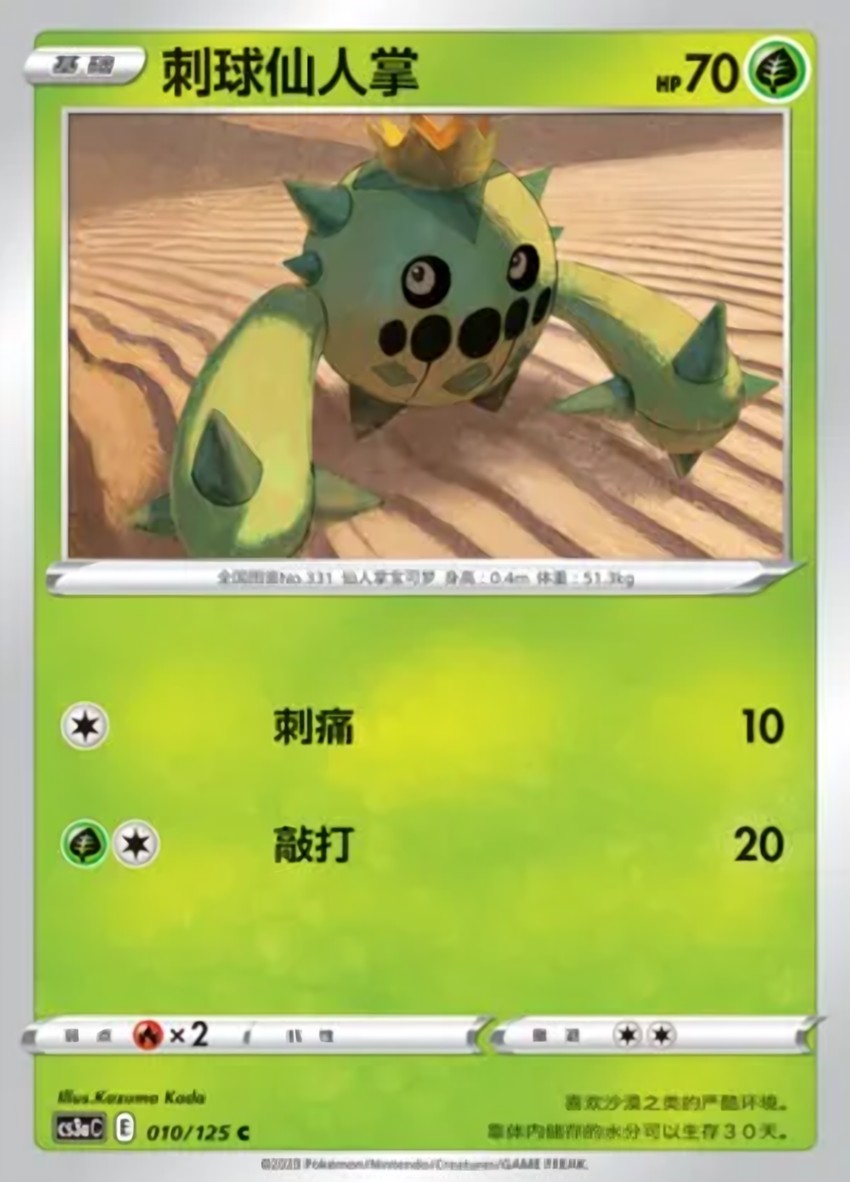 刺球仙人掌