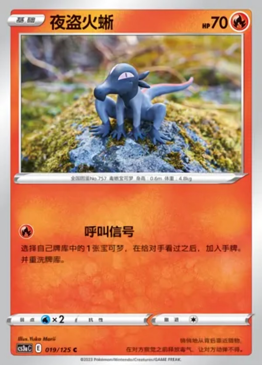 夜盜火蜥