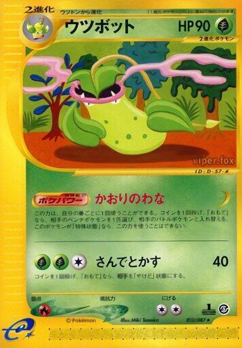 大食花