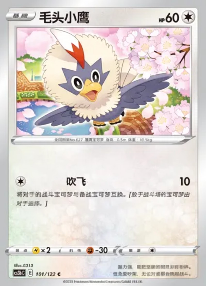 毛頭小鷹