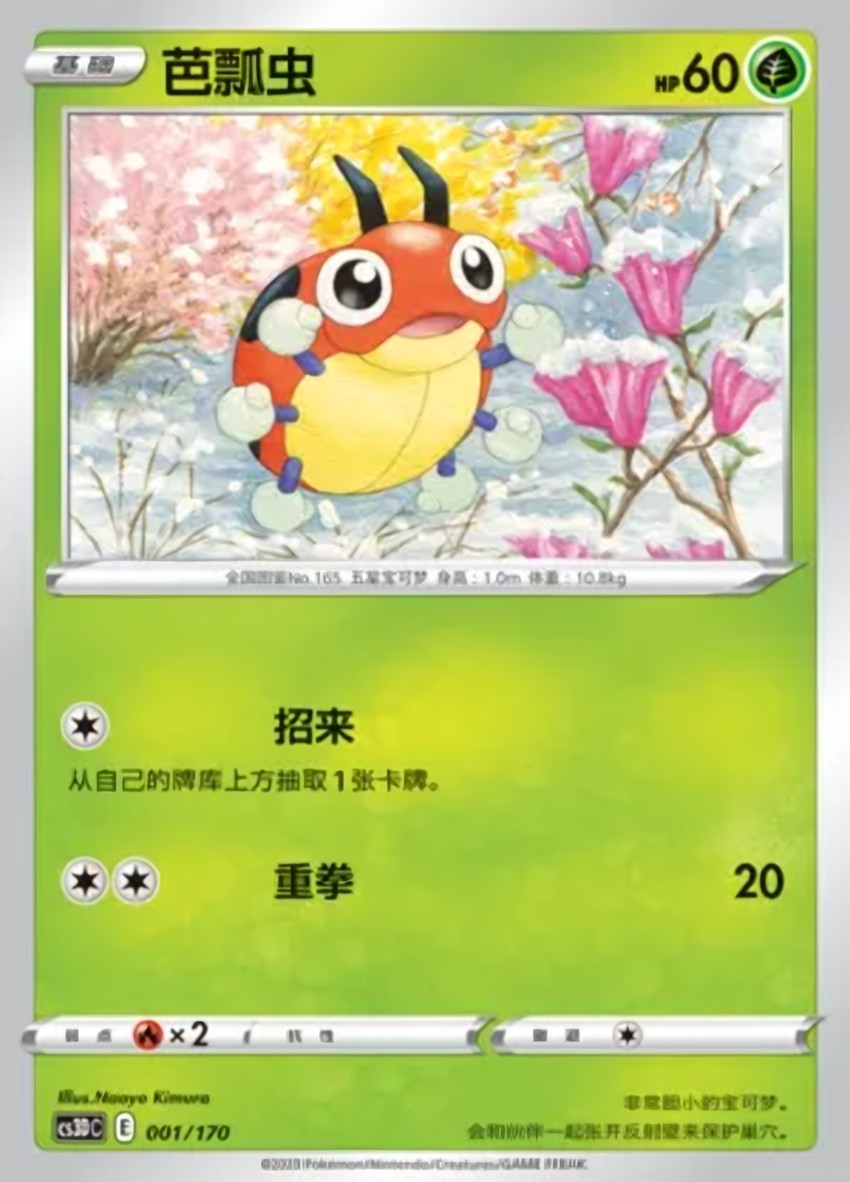 芭瓢蟲