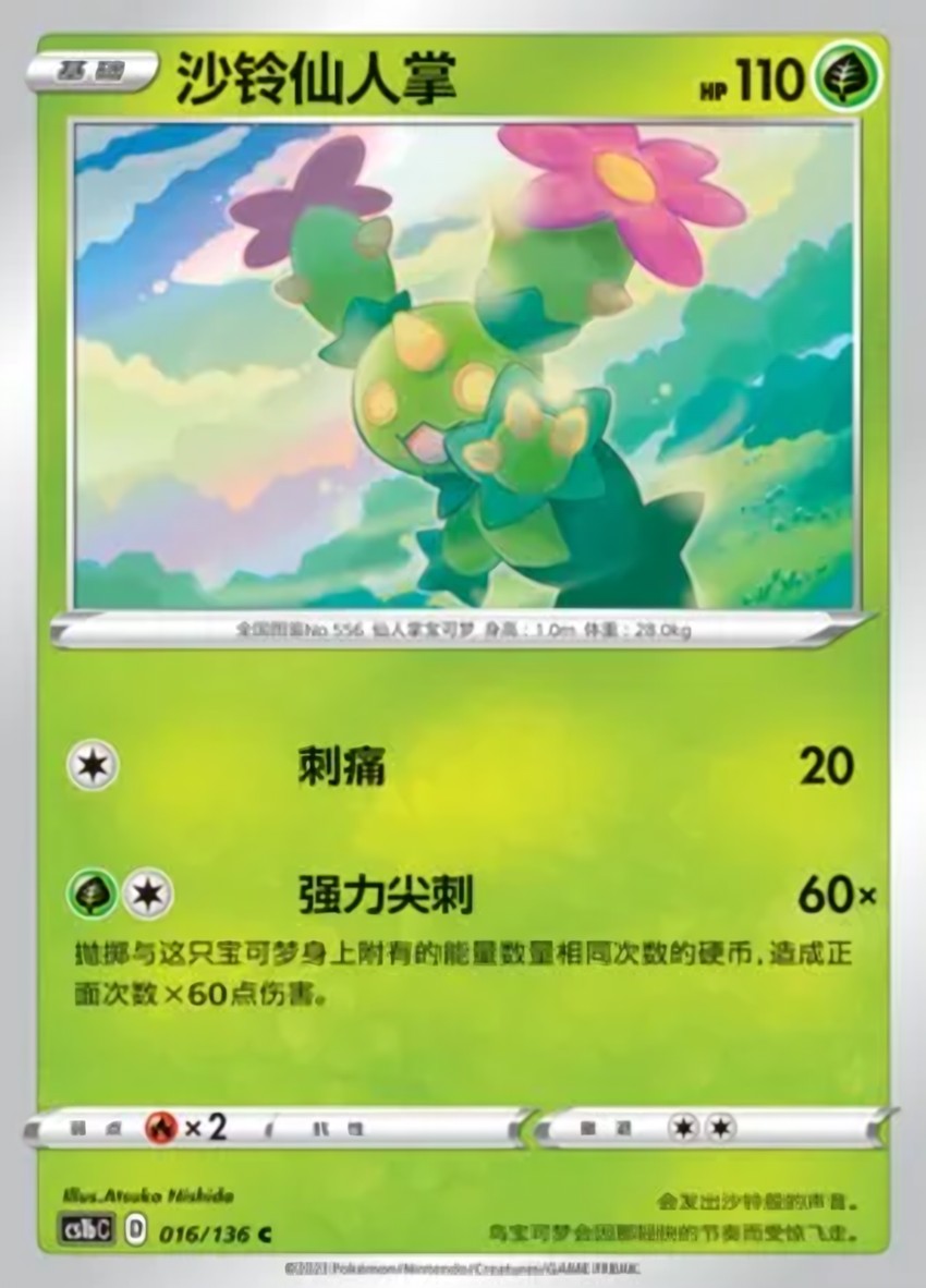 Maractus