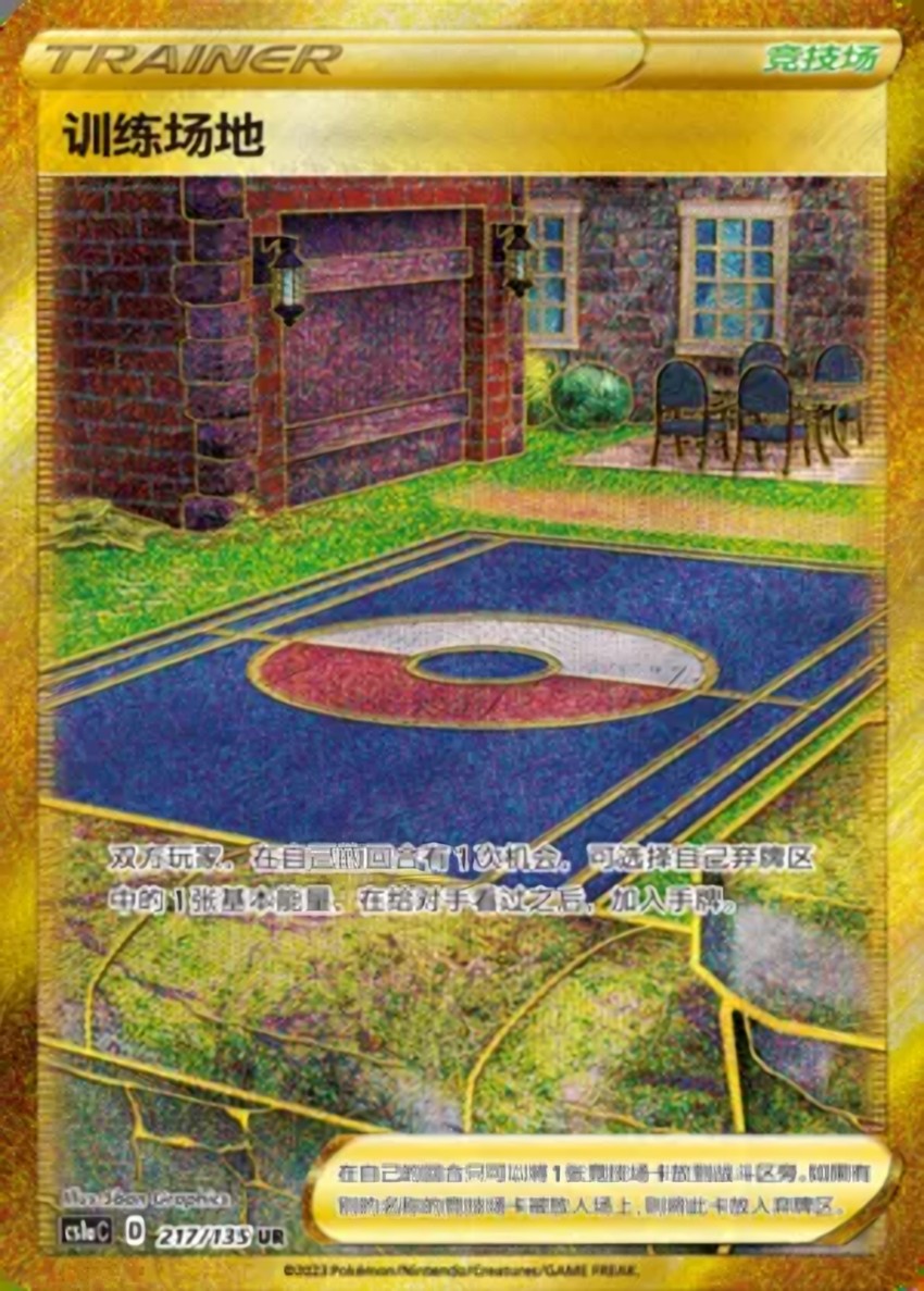 Training Court