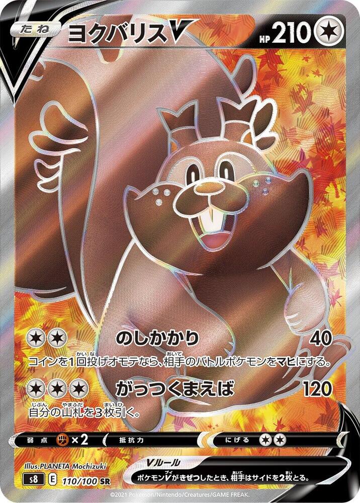 藏飽栗鼠 V