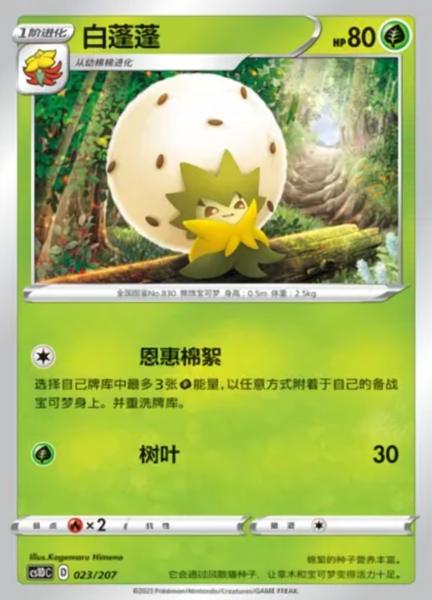 白蓬蓬