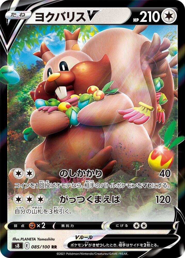 藏飽栗鼠 V