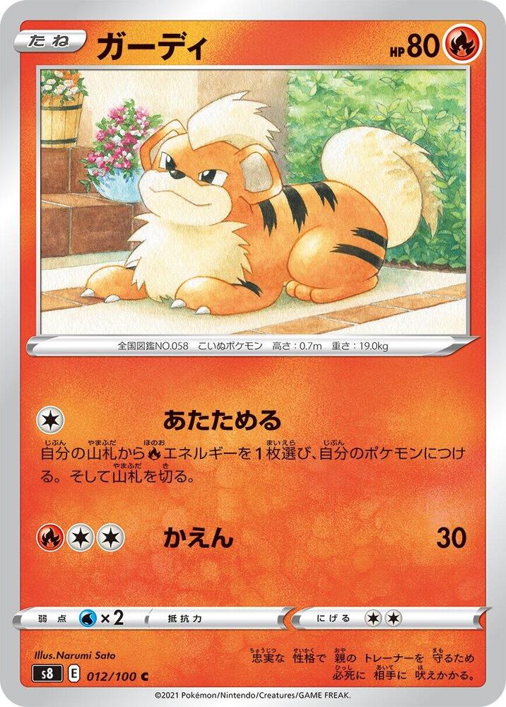 卡蒂狗