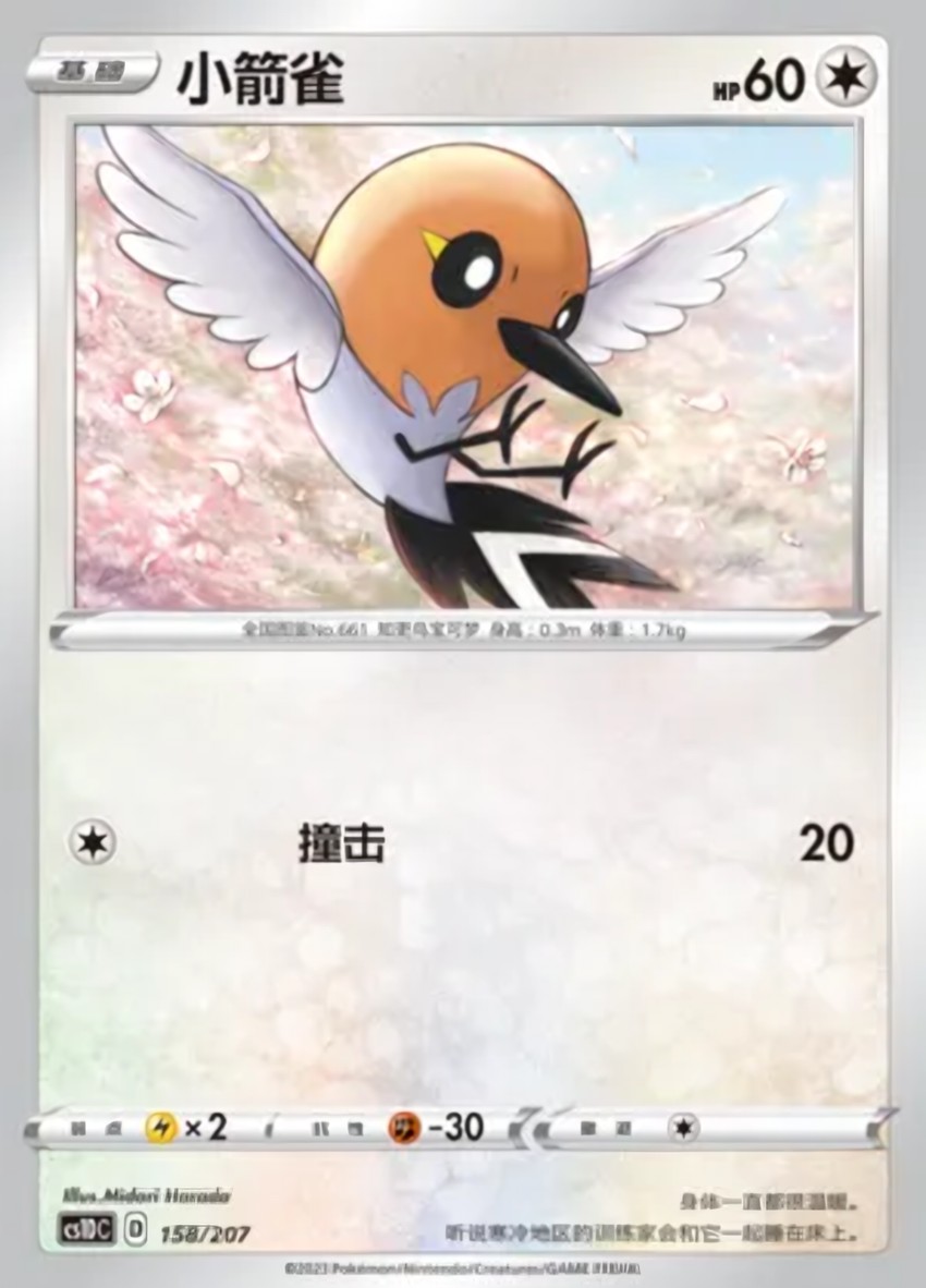 小箭雀