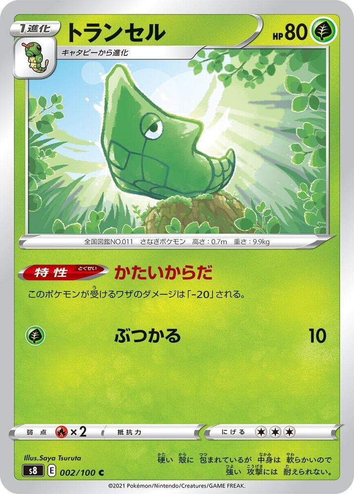 鐵甲蛹