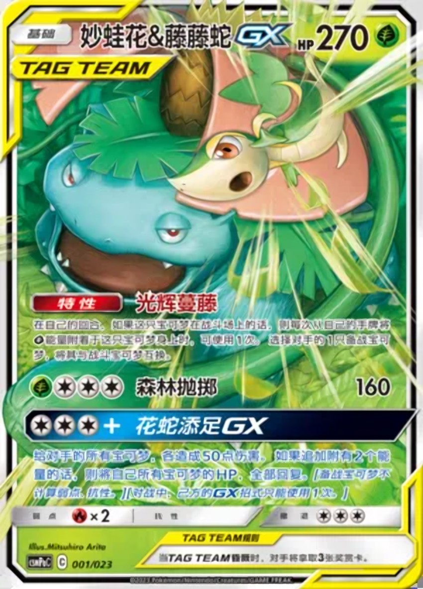Venusaur & Snivy GX