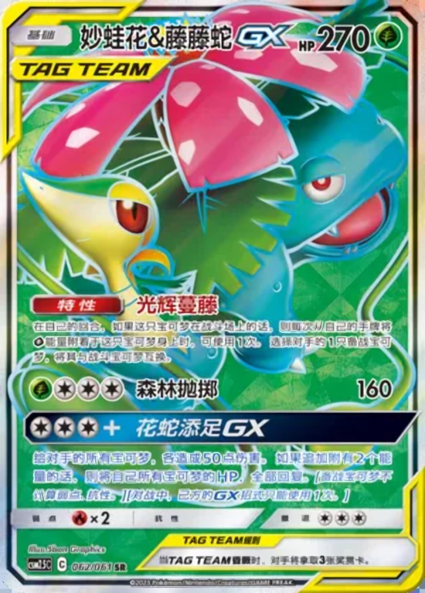 Venusaur & Snivy GX