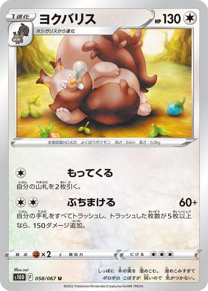 藏飽栗鼠