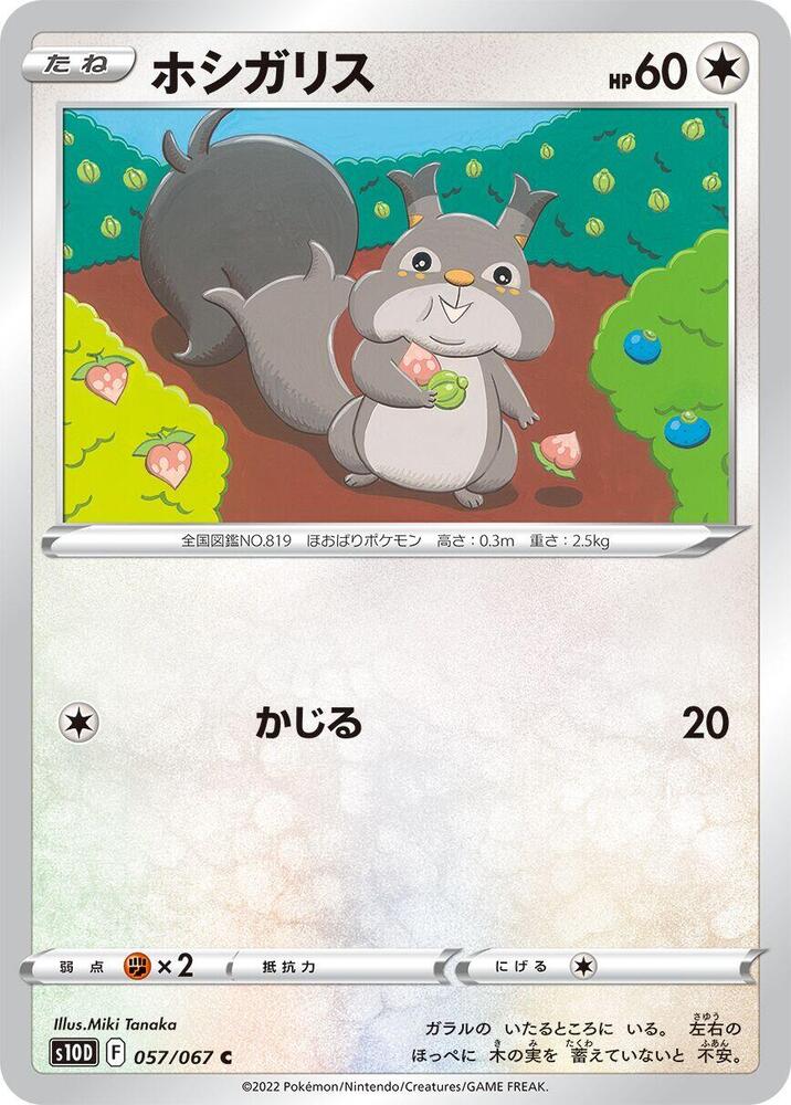貪心栗鼠