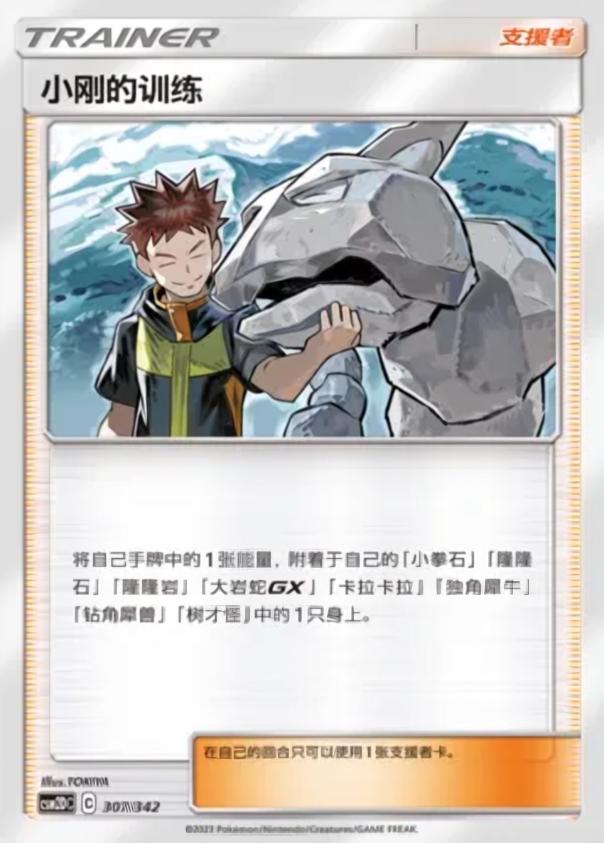 Brock's Training