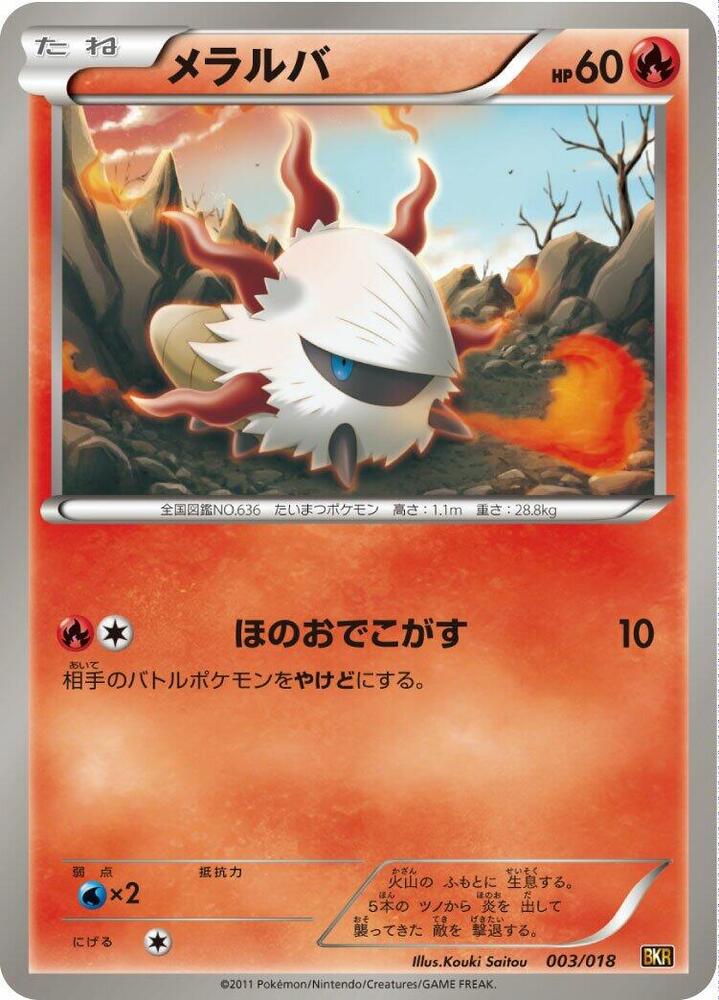 燃燒蟲