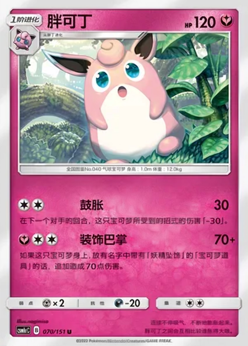 胖可丁