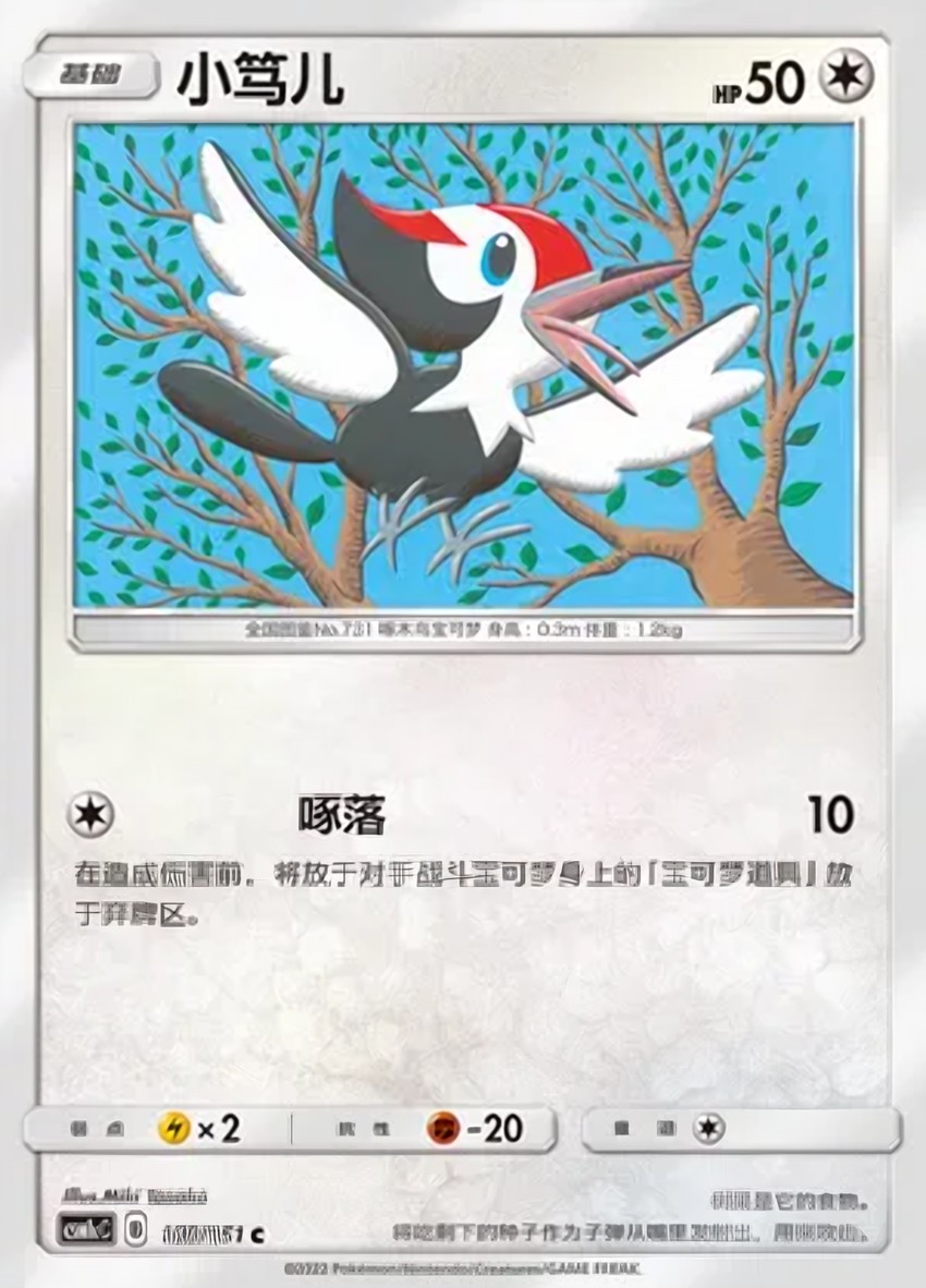 Pikipek