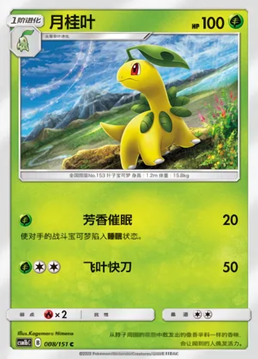月桂葉