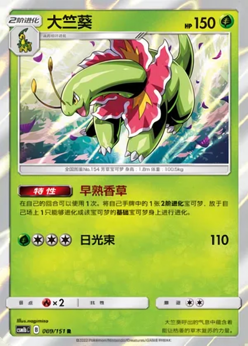 大竺葵