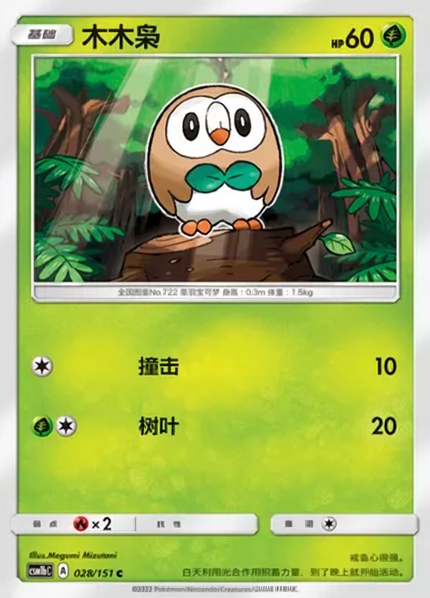 木木梟