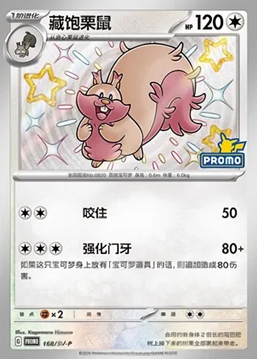 藏飽栗鼠