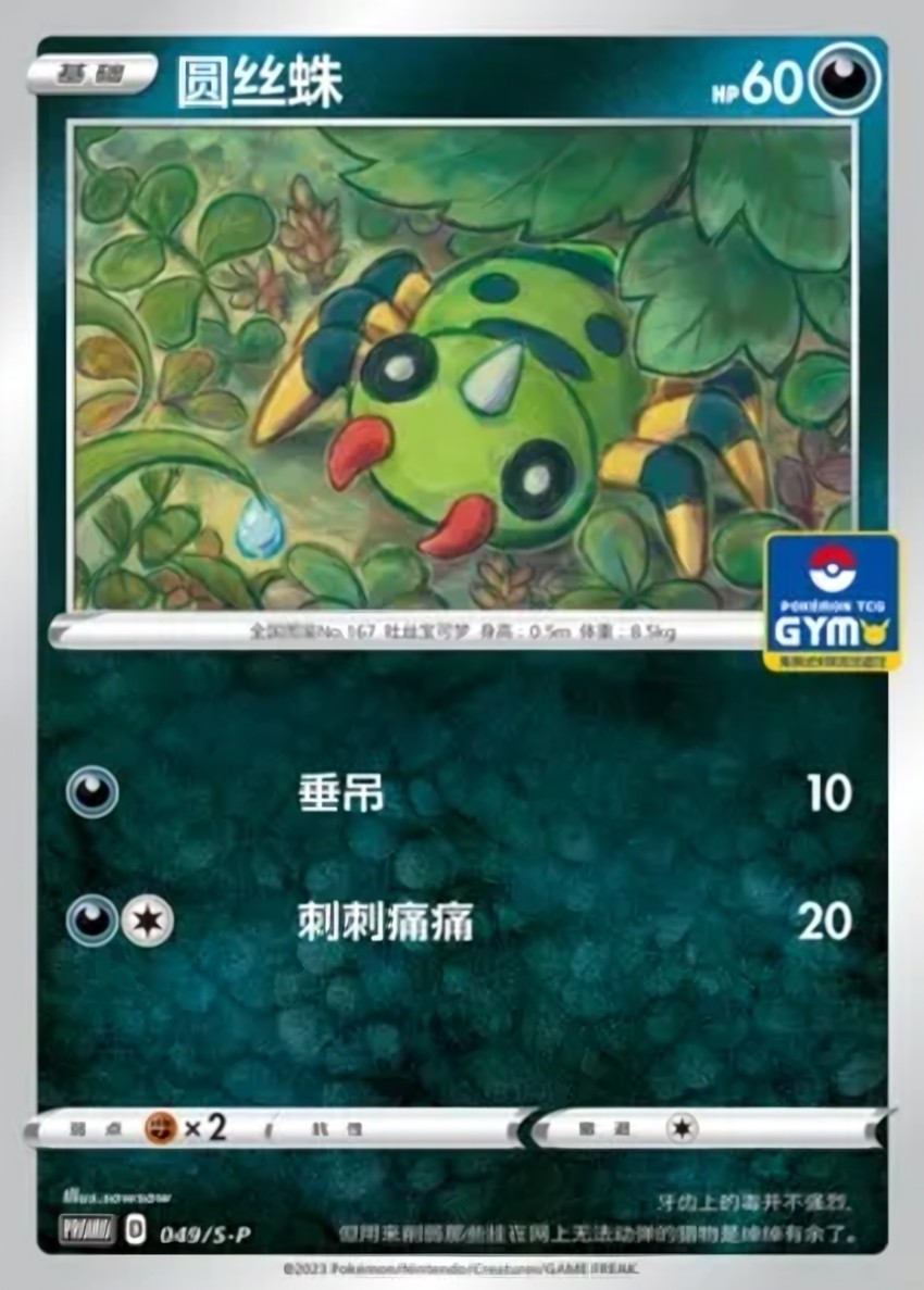 圓絲蛛