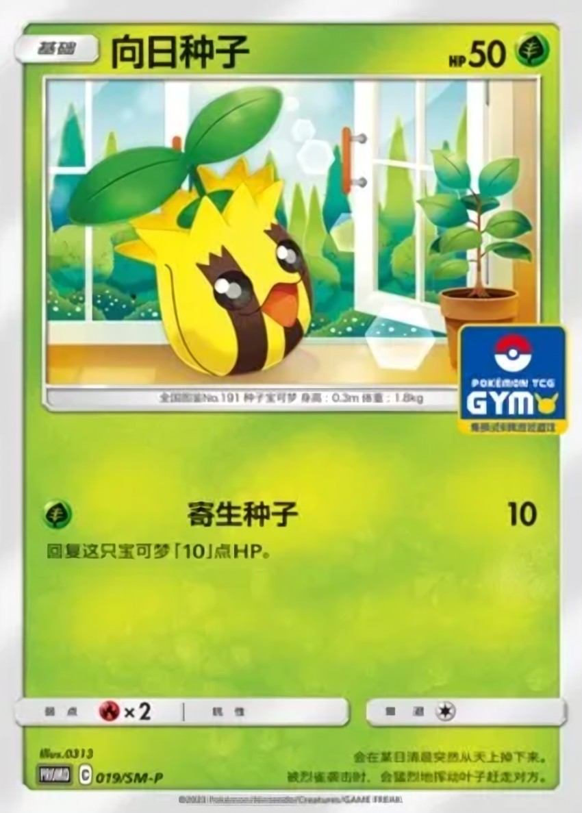 向日種子
