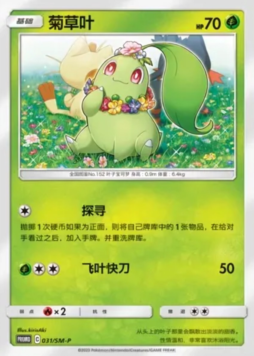 菊草葉