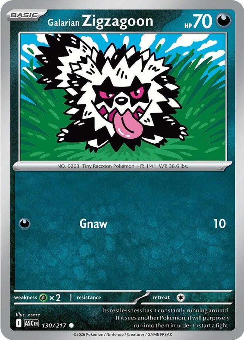 Galarian Zigzagoon
