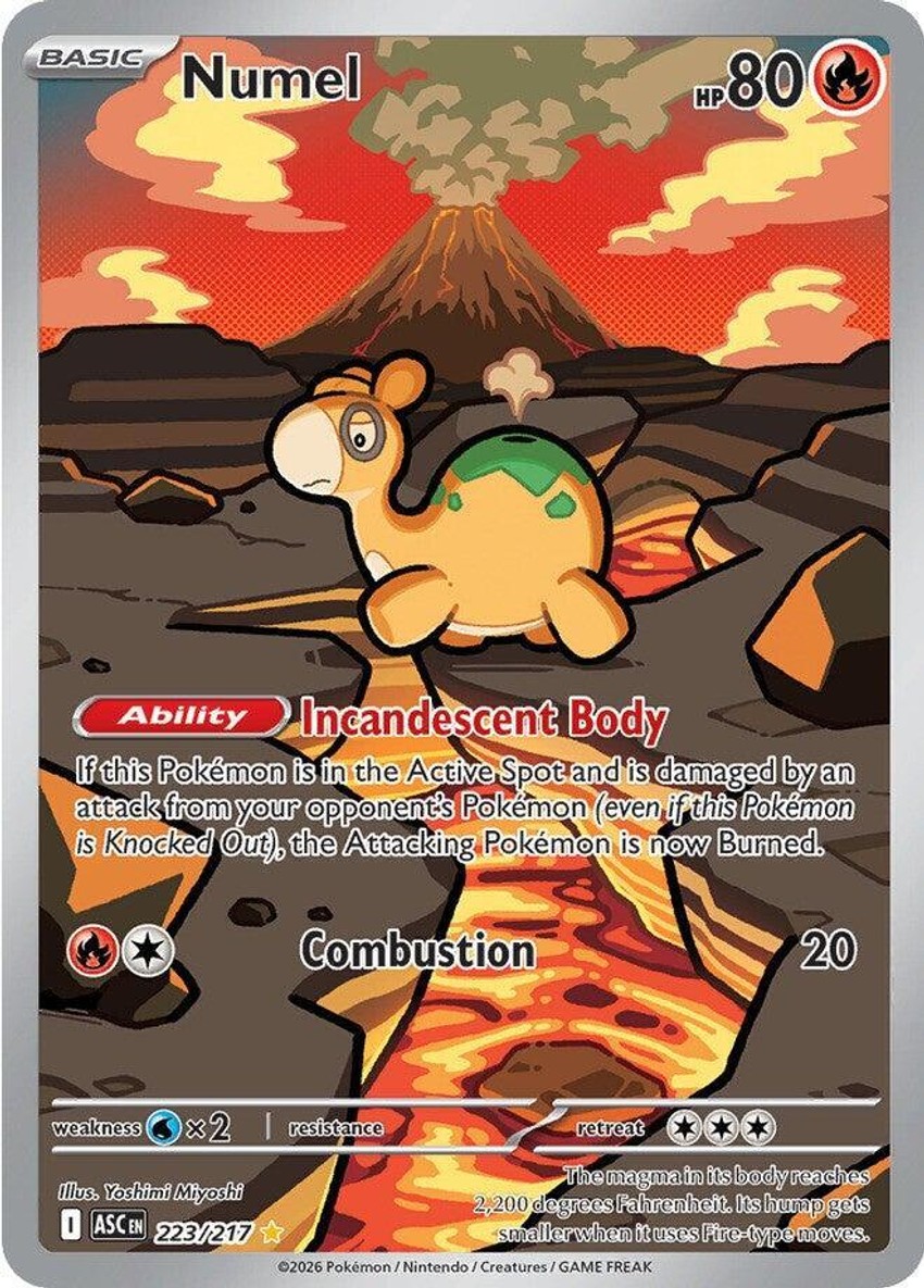 Numel
