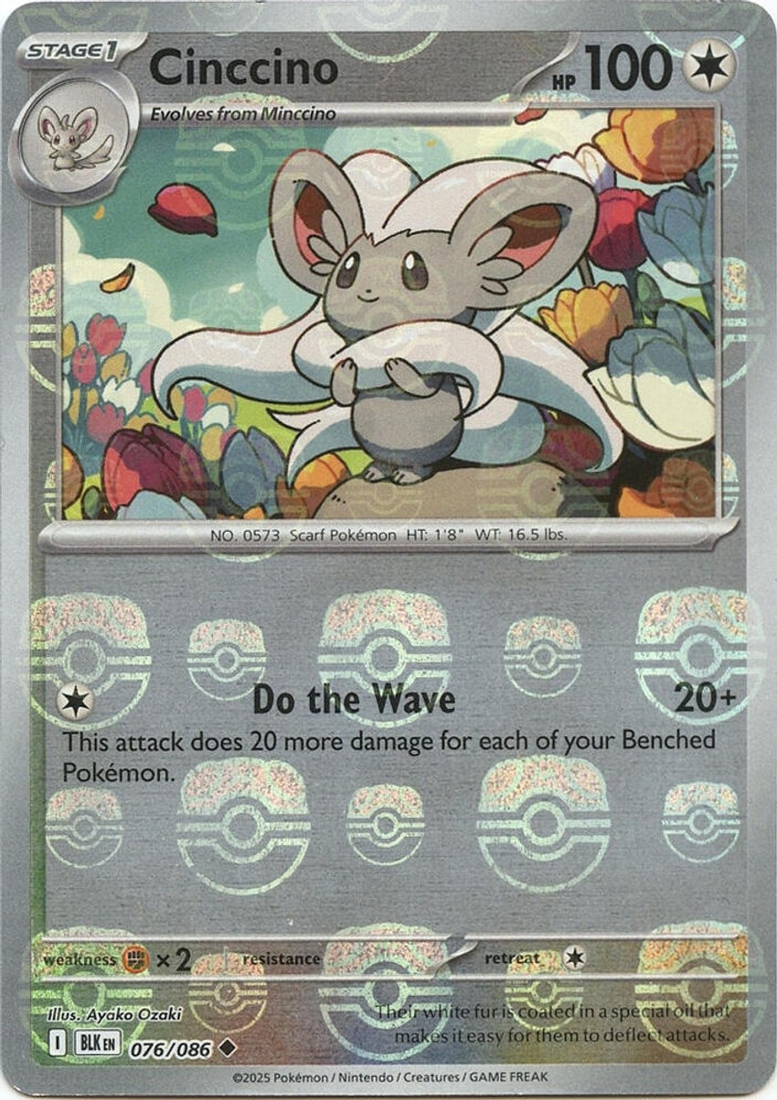 Cinccino