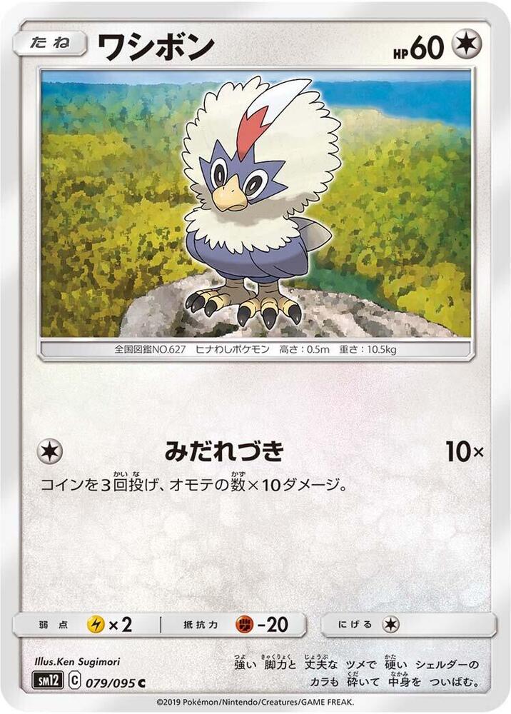 毛頭小鷹