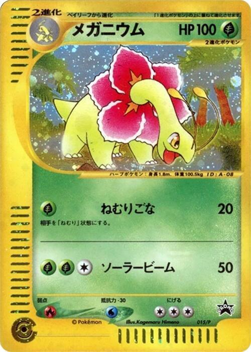 大竺葵